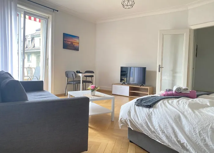 Apartment Cozy Close To Center And Train Station Lausanne
