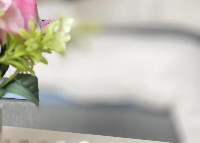 Cozy Close To Center And Train Station * Lausanne